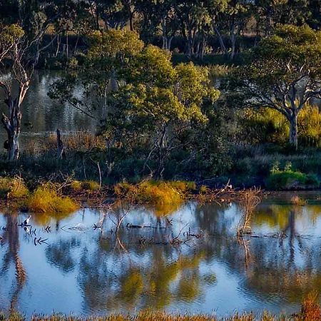 Riverview Rise Retreats Mannum Bagian luar foto