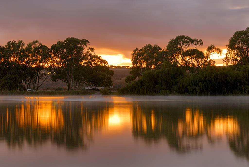 Riverview Rise Retreats Mannum Bagian luar foto