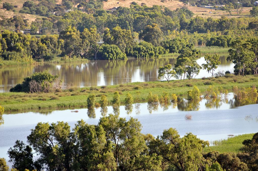 Riverview Rise Retreats Mannum Bagian luar foto