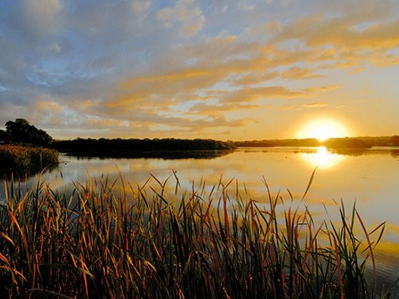 Riverview Rise Retreats Mannum Bagian luar foto