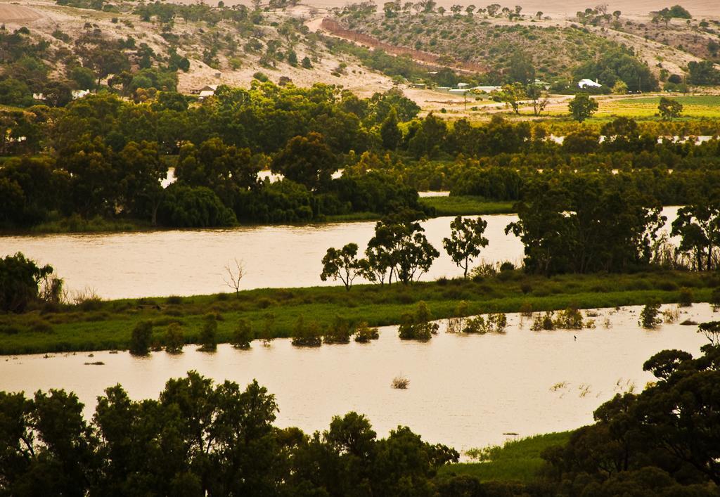 Riverview Rise Retreats Mannum Bagian luar foto