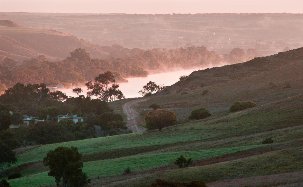 Riverview Rise Retreats Mannum Bagian luar foto
