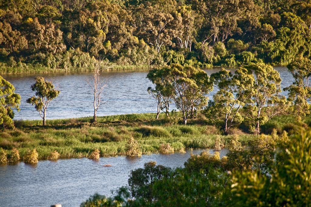 Riverview Rise Retreats Mannum Bagian luar foto