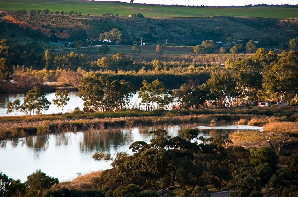 Riverview Rise Retreats Mannum Bagian luar foto
