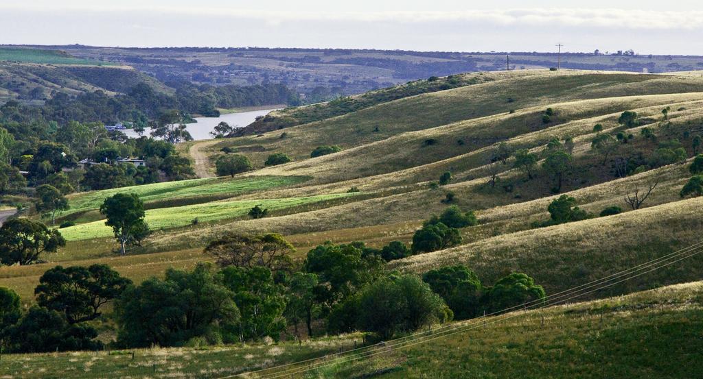 Riverview Rise Retreats Mannum Bagian luar foto
