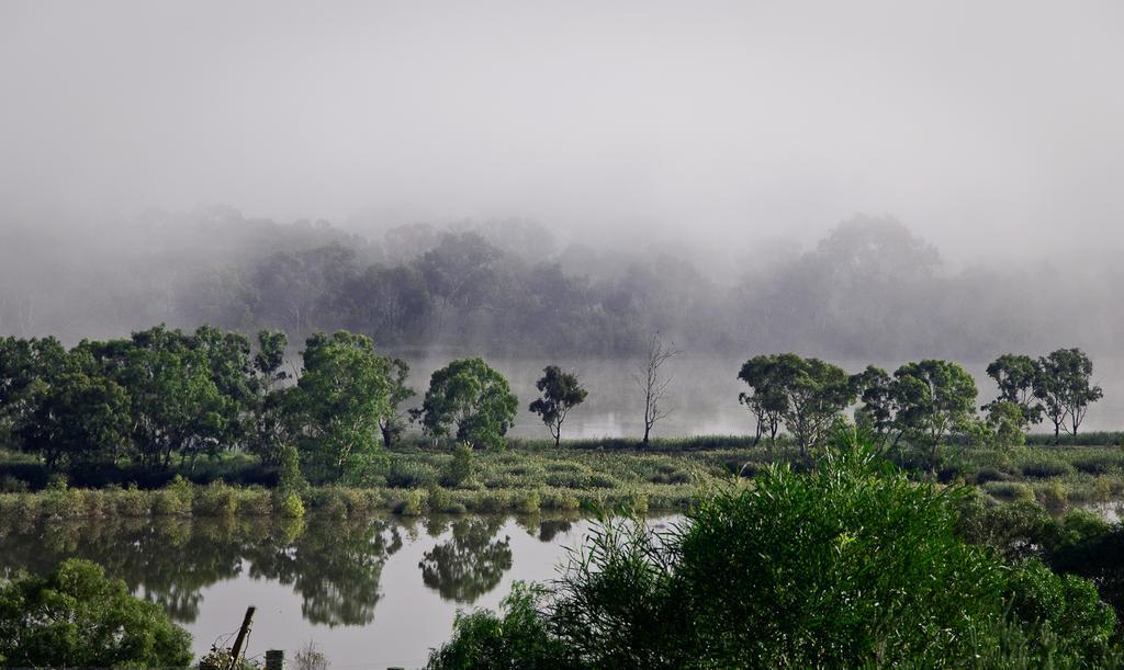 Riverview Rise Retreats Mannum Bagian luar foto