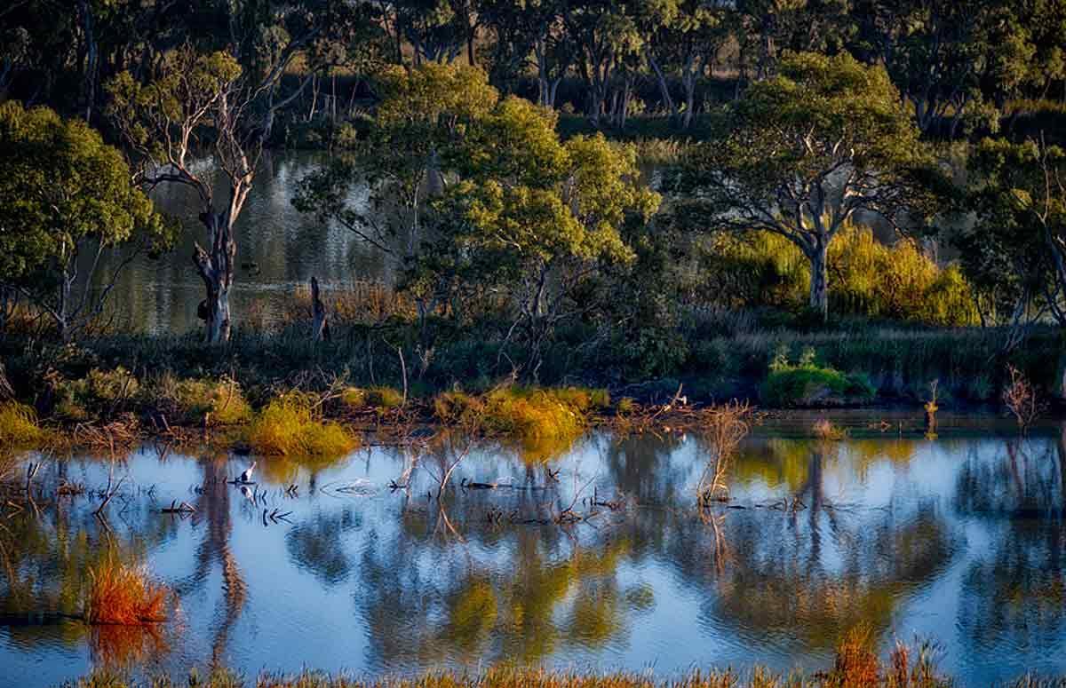 Riverview Rise Retreats Mannum Bagian luar foto