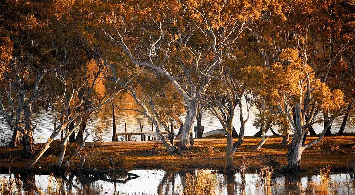Riverview Rise Retreats Mannum Bagian luar foto