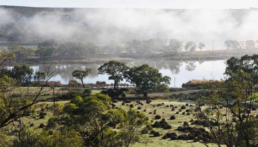Riverview Rise Retreats Mannum Bagian luar foto