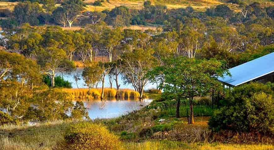 Riverview Rise Retreats Mannum Bagian luar foto