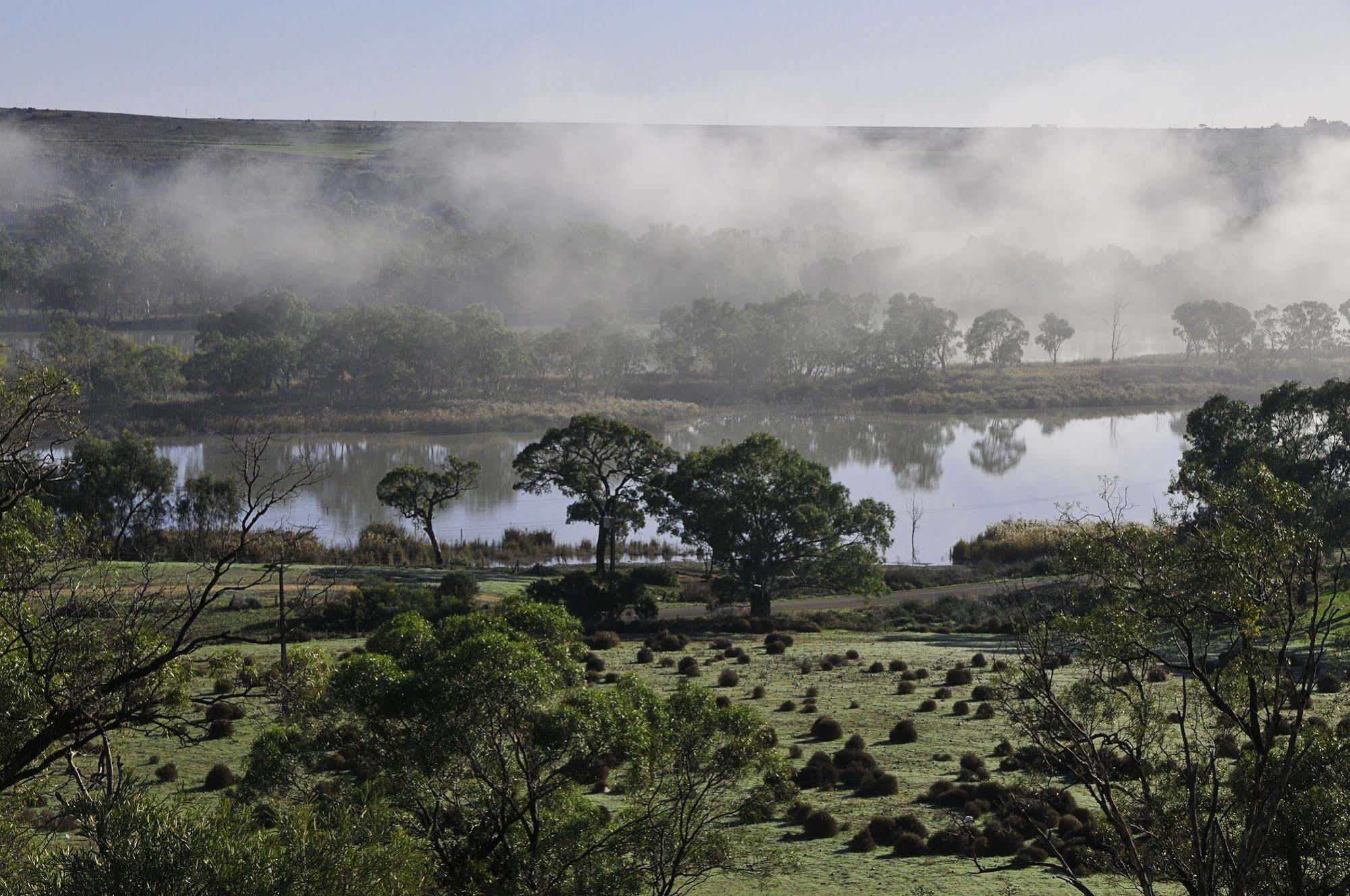 Riverview Rise Retreats Mannum Bagian luar foto