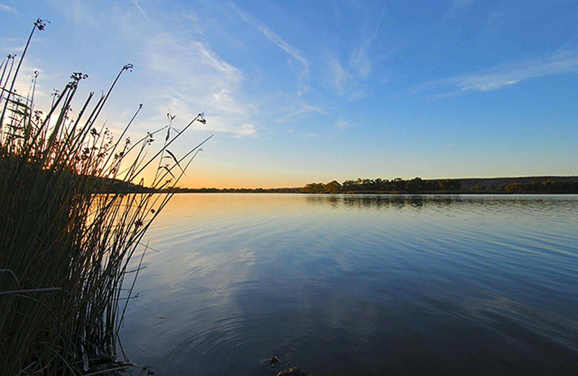 Riverview Rise Retreats Mannum Bagian luar foto