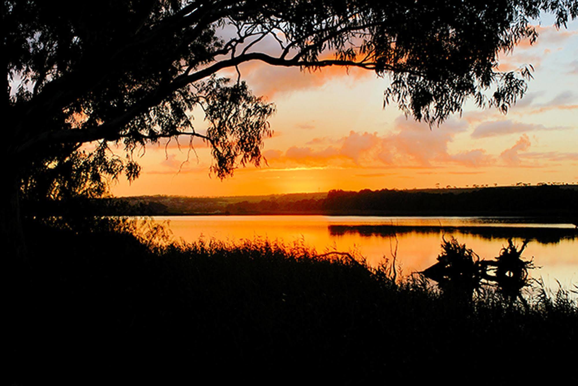 Riverview Rise Retreats Mannum Bagian luar foto